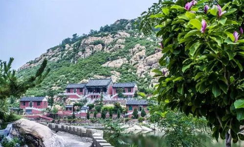 2019泰安旅游汇总表,太有用了
