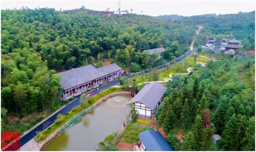 株洲市公布 最美农村路 评选结果,醴陵 攸县 天元区各一条