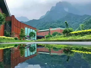 不要钱 宜宾出发,峨眉山2天1夜游吃住全包 原始森林大探秘,快报名