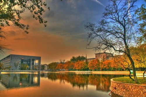 南开大学和西安交通大学,选哪个