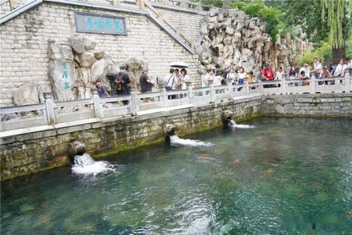山东两景区接连出现错字,原因无人知晓,城中一湖竟与海相通