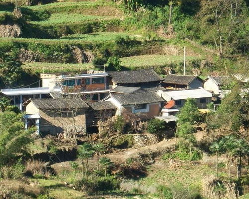 石竹林自然村