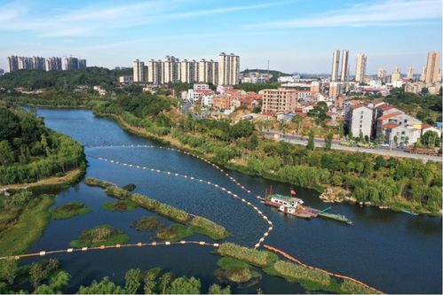 探索现代化水环境综合治理体系 助力长江大保护的岳阳实践