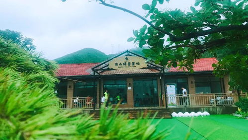 第五期 线下培训