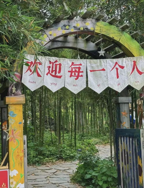 民宿 乡村 业态 这谁能顶得住啊