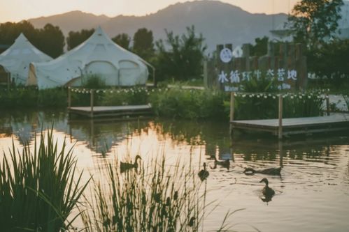 新鲜出炉 北京21个绝美露营地 丰台1处 ,等你打卡