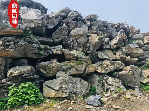 广东清远产地大英石 大型园林自然石大英石园林石 吨位石价格