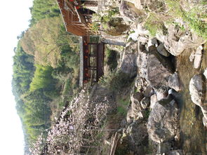 永嘉石桅岩风景区专辑 第6页