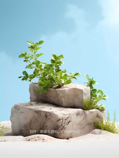 石景草木 ai场景 电商背景素材 电商素材 产品背景 ai背景图