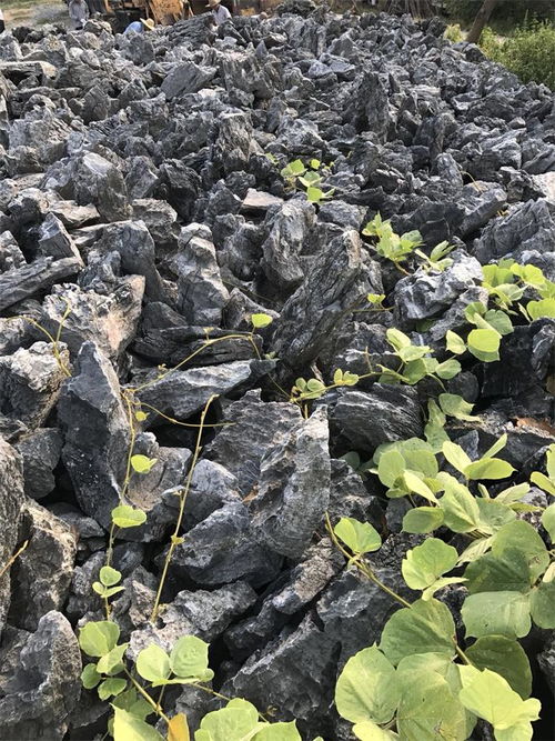 【文化小区假山石风景石售中】- 